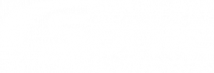 Sonic Electronix Inc.